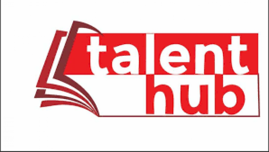 TALENT HUB INSTITUTE